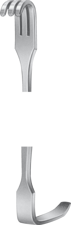 bt007r_2.jpg
