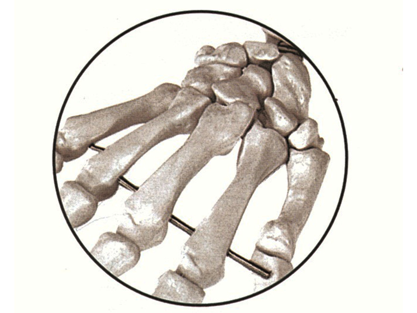 40120_a.jpg