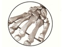 40120_a.jpg