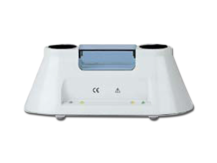 CARICABATTERIE RI-CHARGER