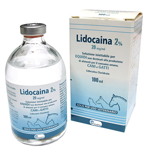 Lidocaina cloridrato 200 mg 2% fiala 10ml
