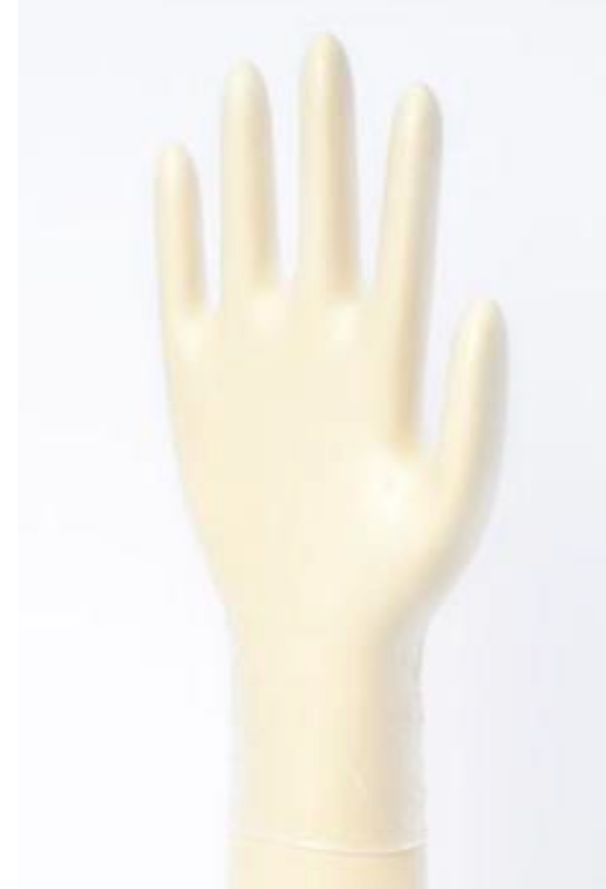 Guanti vinile elasticizzato S/P