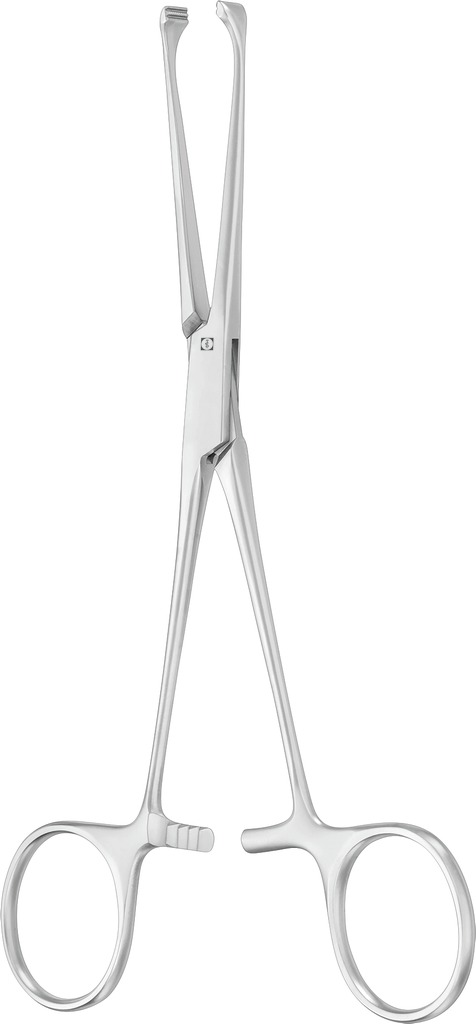 PINZA ATRAUMATICA ALLIS 6,2MM 160MM
