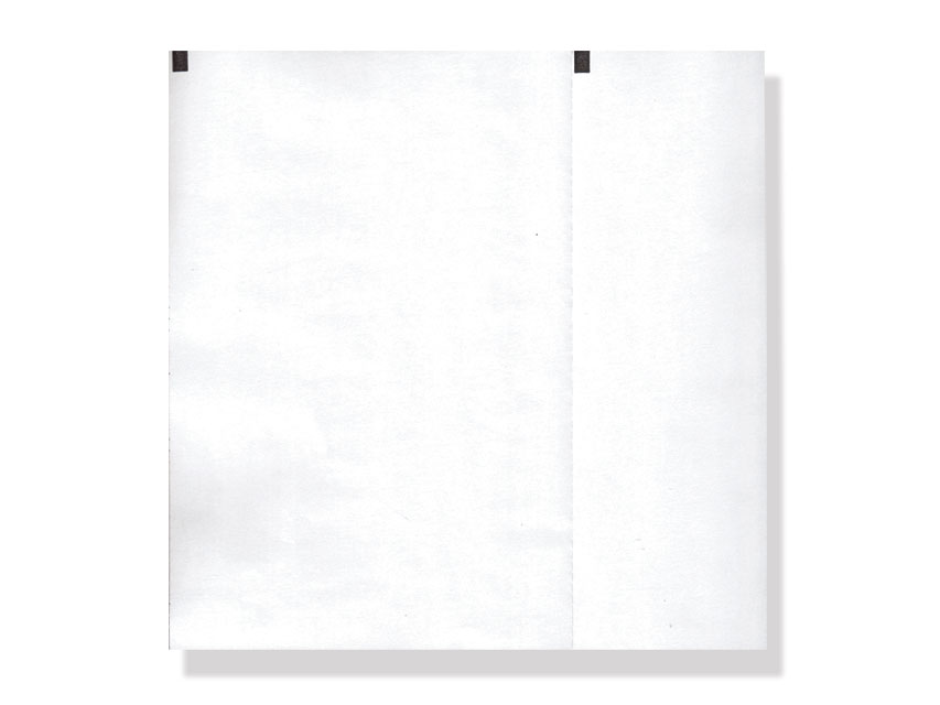 Carta termica ECG 210x140 mmxm  pacco griglia bianca