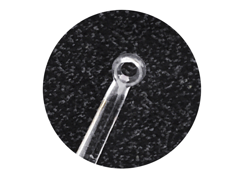 MICRO LOOP - trasparente + 1 illuminatore LED