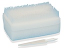 KIT SPAZZOLA CLOREXIDINA - pack italiano