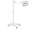 LAMPADA SCIALITICA PENTALED 30E - su piantana con batteria