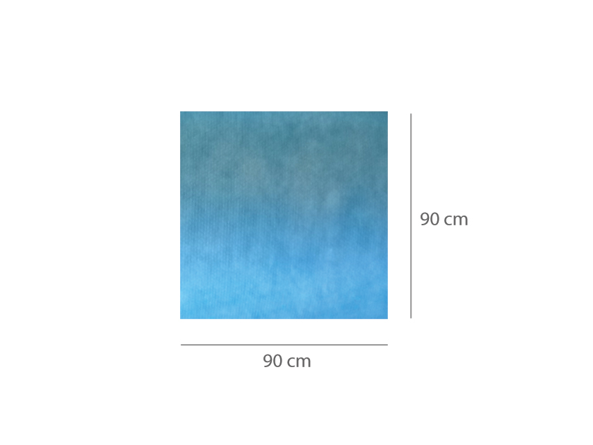 TAPPETINO ASSORBENTE IMPERMEABILE PRETAGLIATO 90 x 90 cm