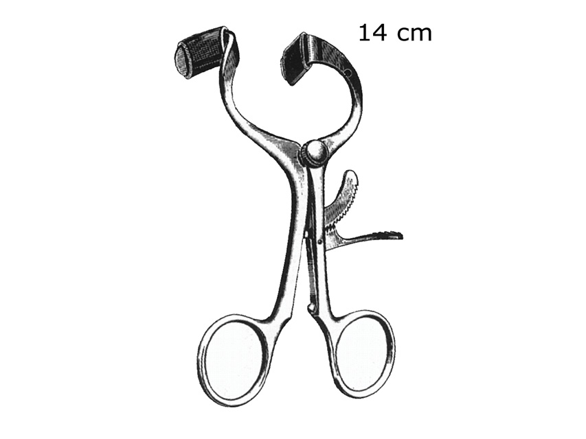 APRIBOCCA MOLT - 14 cm