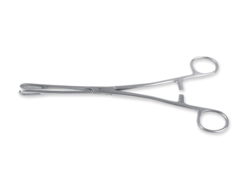 PINZA RAMPLEY - 18 cm
