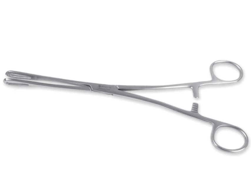 PINZA RAMPLEY - 24 cm