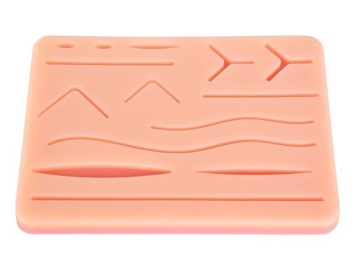 [23020] PAD ESERCITAZIONE SUTURA CON RETE