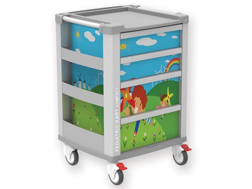 [45656] KART PEDIATRICO