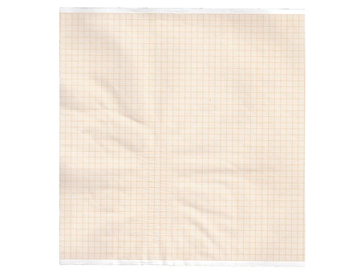 [33047] Carta termica ECG 210x30 mmxm  rotolo griglia arancio