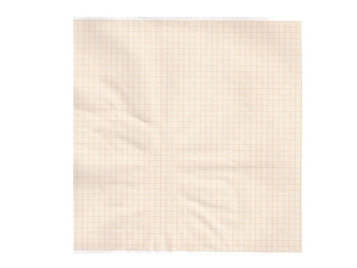 [32950] Carta termica ECG 215x25 mmxm  rotolo griglia arancio