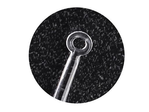 [31466] ALGEL LOOP - trasparente + 1 illuminatore LED