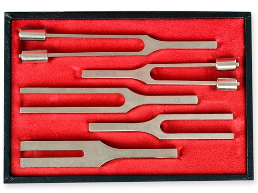 [31240] TROUSSE DIAPASON LEGA - 5 pezzi