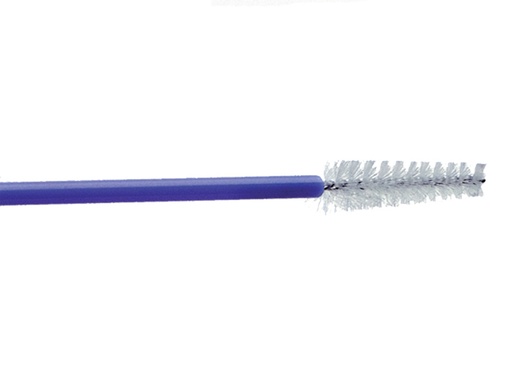 [29735] GIMA BRUSH B - sterile