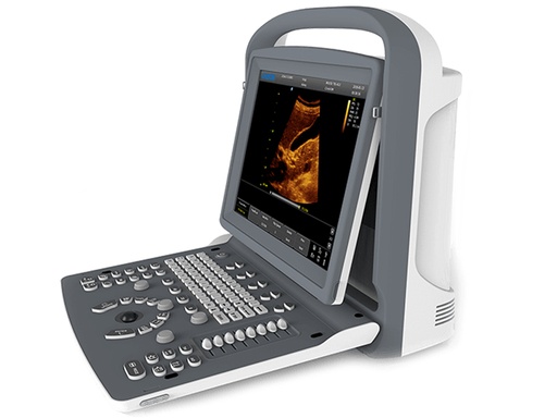 [GM-29585] ECOGRAFO CHISON ECO2 B/N - 1 connettore sonda
