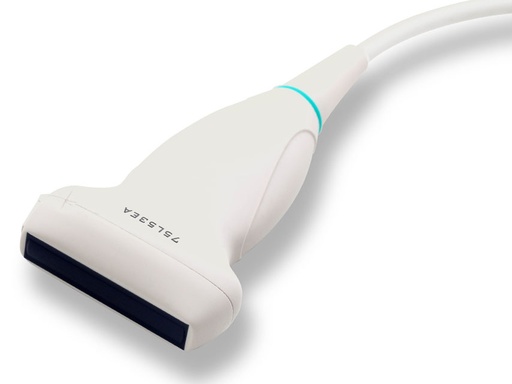 [GM-29593] SONDA LINEARE per DP-10, DP-20, DP-30, DP-50