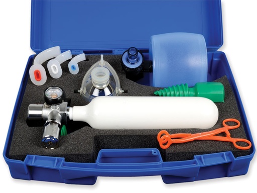 [GM-29902] CASSETTA SPEED-2 - con bombola NF (vuota)