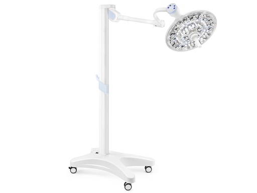 [49181] LAMPADA SCIALITICA GIMALED - carrello + gruppo batteria