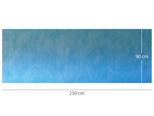 [25154] TAPPETINO ASSORBENTE IMPERMEABILE PRETAGLIATO 90 x 250 cm