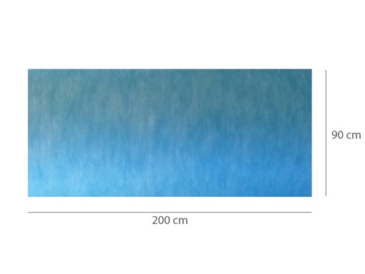 [25153] TAPPETINO ASSORBENTE IMPERMEABILE PRETAGLIATO 90 x 200 cm
