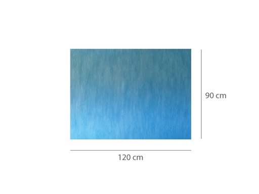 [GM-29915] TAPPETINO ASSORBENTE IMPERMEABILE PRETAGLIATO 90 x 120 cm