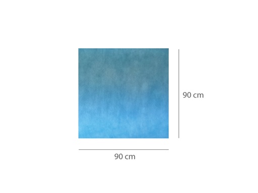 [25150] TAPPETINO ASSORBENTE IMPERMEABILE PRETAGLIATO 90 x 90 cm
