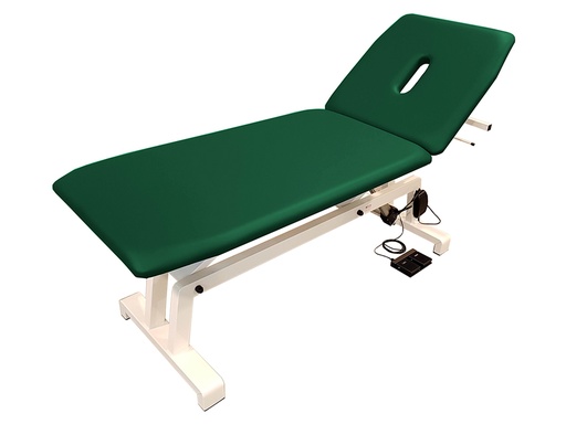 [GM-29970] LETTINO ELETTRICO PER TRATTAMENTI - verde