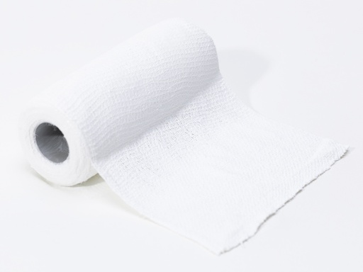 [34719] BENDA ELASTICA PREVIZINC "E" 10 cm x 5 m