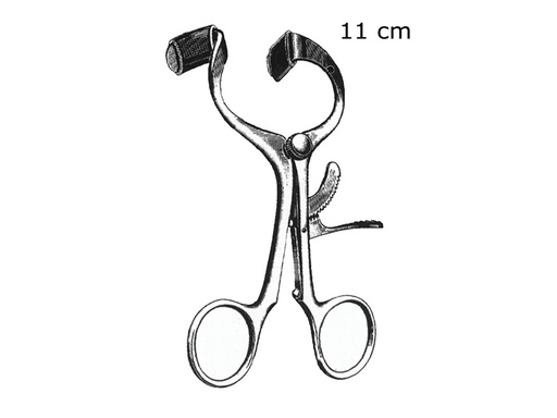 [GM-31251] APRIBOCCA MOLT - 11 cm