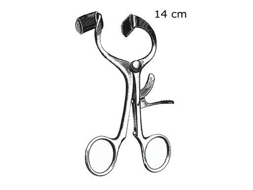 [60221] APRIBOCCA MOLT - 14 cm