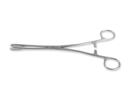 [26987] PINZA RAMPLEY - 18 cm