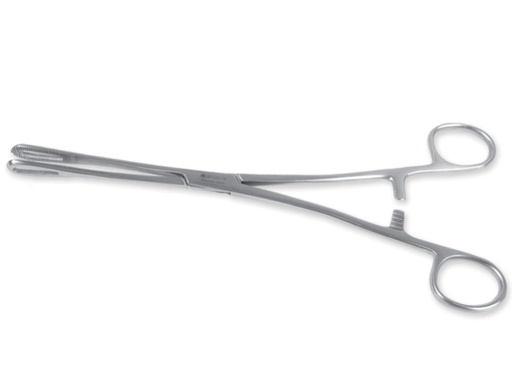 [26988] PINZA RAMPLEY - 24 cm