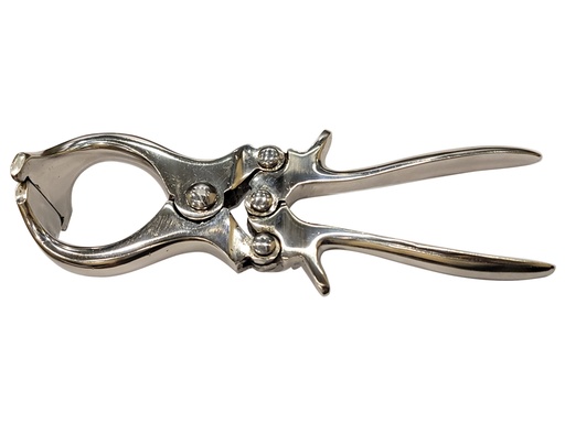 [80036] PINZA CASTRAZIONE BURDIZZO - 22 cm